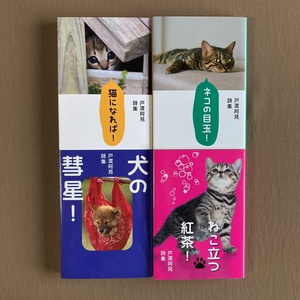 戸渡阿見（深見東州） 詩集 4冊セット★ネコの目玉／ねこ立つ紅茶／犬の彗星／猫になれば★たちばな出版 文庫