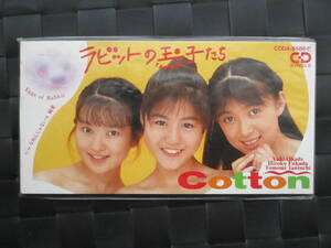 激レア!!Cotton CD「ラビットの玉子たち」CDシングル/CDS