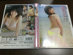 ◆鹿谷弥生 Bon Appetit! ボナペティ! DVD 国内正規品 ラインコミュニケーションズ LSDV-40389 アイドルワン 即決