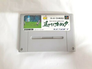 ☆SFC☆遥かなるオーガスタ☆ 3D simulation☆スーパーファミコン☆中古品☆