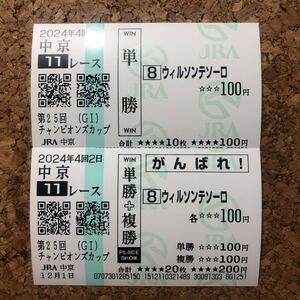 単勝 応援馬券 ウィルソンテソーロ 現地購入的中馬券 チャンピオンズカップ 2024年12月1日 中京競馬場 JRA 川田将雅