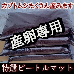 カブトムシの産卵専用　特選ビートルマット　オガを植菌で朽ちらせ室内で完熟発酵！　添加剤少なめで産卵意欲が高まり多産へと導きます