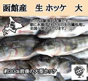 函館産　生ホッケ　10尾