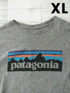 patagonia レディース Tシャツ 長袖 グレー メキシコ製 XL