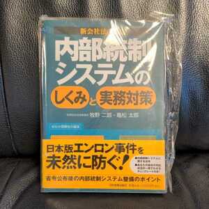 内部統制システムのしくみと実務対策 牧野二郎／著　亀松太郎／著 送料無料