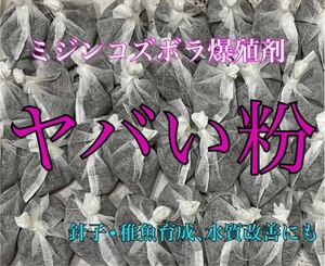 生クロレラ等不要【華めだか大阪】ミジンコズボラ爆殖剤 ヤバい粉 1発★タマミジンコタイリクミジンコオオミジンコの繁殖.針子育成に♪