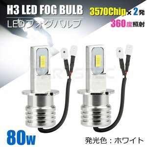 12V 24V 対応 H3 LEDバルブ 80W 3570チップ フォグランプ ショートバルブ 360度照射 ホワイト 白色 フォグランプ トラック /158-42x2: SM-N