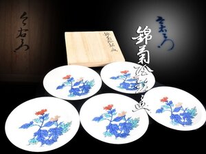 【雲】某収集家買取品 人間国宝 今泉今右衛門 錦菊絵付銘々皿 5客 直径16.5cm 共箱 古美術品(懐石料理道具)Y4276 LTDhjunp