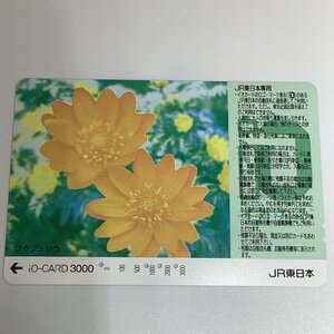 イオカード　JR東日本　フクジュソウ　黄色い花　植物　4穴　使用済み