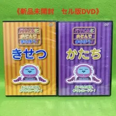 【匿名配送DVD】パソコンとあそぼう！ DVD きせつ・かたち　2本セット