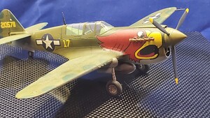 完成品 MAUVE　1/48　P40N　カーチス　ウォーホーク