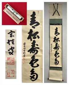 【千寿】大徳寺派 黄梅院 宮西玄性 青松寿色多 一行書 紙本 d605◆箱/茶道具/古美術/時代品/掛軸/100023830