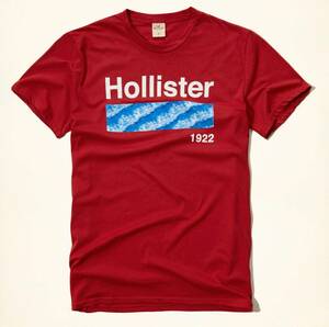 HOLLISTER ホリスター men