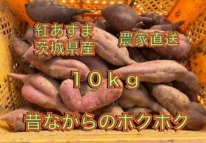 10kg 在庫少なめ　土付き　ホクホク系　べにあずま　紅東　紅あずま　10キロ B級品 訳あり　さつまいも 茨城県産