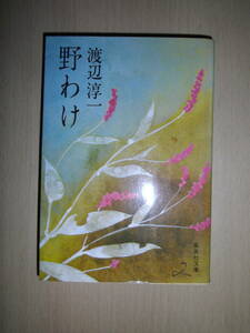 野わけ　渡辺淳一　集英社文庫