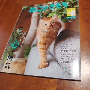 ねこのきもち★2019年5月号 vol.168★ベネッセ★付録なし(ふろくは付きません)★送料格安！3cm以内で発送可★送料、最安価で対応します！