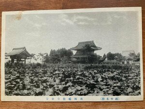 VV-592 ■送料込■ 富山県 越中 高岡市 瑞龍寺 全景 建築物 建物 神社 寺 宗教 寺院 庭 風景 レトロ 絵葉書 古葉書 写真 古写真/くNAら