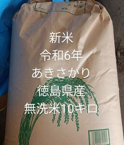 新米　令和6年　あきさかり　徳島県産　減農薬　無洗米10キロ