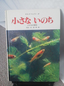 【1979年版かんさつシリーズ4】『小さないのち～メダカの誕生』佐々木 崑／クリックポスト／フレーベル館／なかなか出ない／初版