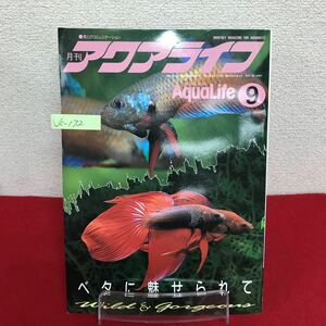 Jc-172/月刊アクアライフ 1992年9月号 ベタに魅せられて アクアリウムの周辺学講座 水槽の掃除学 グッピー実践飼育講座/L7/60927