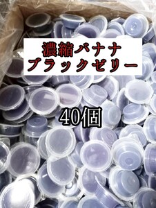 昆虫ゼリー フジコン 濃縮バナナブラックワイド16g 40個 クワガタ カブトムシ オオクワガタ フクロモモンガ ハムスター ハリネズミ 小動物