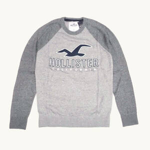 ★SALE★Hollister/ホリスター★アップリケ付切替クルーネックセーター (Heather Grey/M)