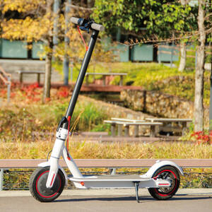 RICHBIT EV SCOOTER 電動キックボード 遊べる電動モビリティ キャンプ場など大活躍 新品・買い得 カラー：ホワイト「公道走行不可」