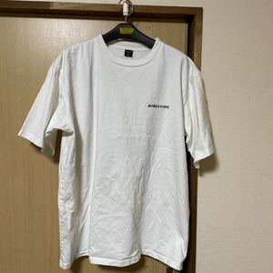 AVIREX半袖Tシャツ 2XL