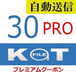 【自動送信】Katfile PRO プレミアム 30日間 通常1分程で自動送信します