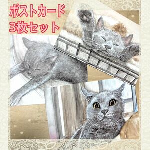 オリジナル 手描きイラスト ポストカード　3枚セット 猫 複製 ブリティッシュショートヘア　水彩 【あおきしずか】
