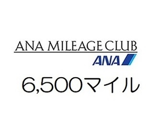 全日空ANA6,500マイル　希望の口座へ加算