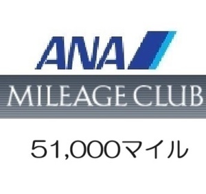 全日空ANA51,000マイル　希望の口座へ加算