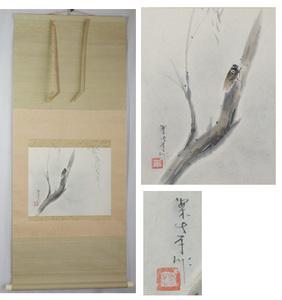 「真作」◆ 田中案山子 ◆「 涼風 」アブラゼミ　肉筆紙本掛軸 共箱 /　日本画