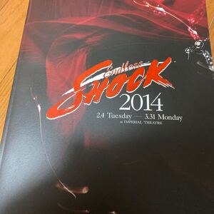 Shock 2014 パンフレット