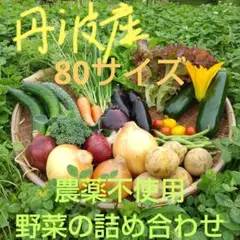 丹波産　農薬不使用　野菜の詰め合わせ