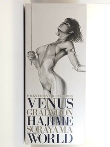 ボークス オリエントヒーローシリーズ VENUS GRADATION HAJIME SORAYAMA WORLD キューティーハニー ガレージキット　61CFC0A