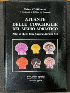☆ 洋書「ATLANTE DELLE CONCHIGLIE DEL MEDIO ADRIATICO」アドリア海中部の貝類図鑑 1992 カバーなしハードカバー本 イタリア語版