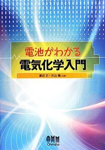 電池がわかる電気化学入門/渡辺正,片山靖【共著】