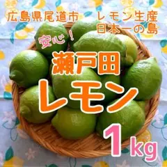 広島県 瀬戸田産 レモン 1kg 減農薬 ノーワックス 産地直送 ②