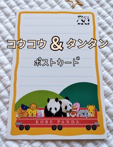 初期 2001年『 コウコウ＆タンタン』ポストカード 王子動物園　リーリーシンシン