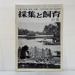 採集と飼育 1967年5月号★フアヒネ島マエバの古代祭祉場/細胞学者の見たコーボ/生物の知識・観察と実験/動植物