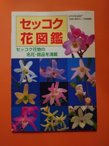 ★美品★［セッコク花図鑑］セッコク花物の名花・銘品を満載　『自然と野生ラン』増刊　新企画出版局　石斛