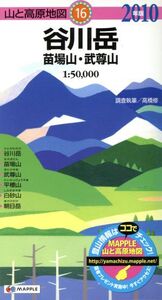 ’10 谷川岳 苗場山・武尊山/高橋修(著者)