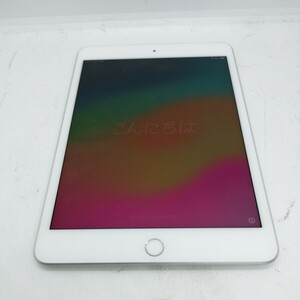 管理:YN-3146/ジャンク/完動品動作確認済み/ iPad mini 第5世代 a2124 256GB Wi-Fiモデル