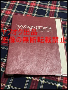 ◎レア◎WANDS(上杉昇/柴崎浩/ワンズ)◎ファンクラブバインダー2点◎