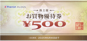 ★最新 テックランド ＹＡＭＡＤＡ ヤマダホールディングス 株主様お買物優待券５００円券★送料無料条件有★