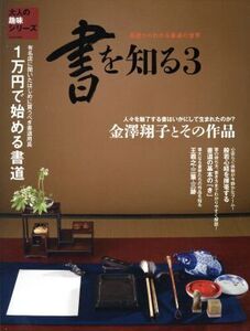 書を知る(3) 金澤翔子とその作品 サンエイムック 大人の趣味シリーズ/芸術・芸能・エンタメ・アート