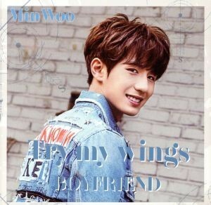 Ｔｒｙ　ｍｙ　ｗｉｎｇｓ（ミヌ盤）／ＢＯＹＦＲＩＥＮＤ