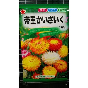 ３袋セット 帝王 かいざいく 貝細工 種 郵便は送料無料