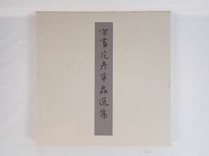 二玄社 宋畫花卉草蟲選集 全12葉 中国書画 中国美術